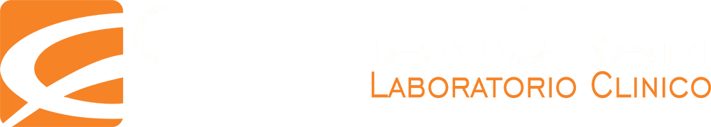 Logo Img